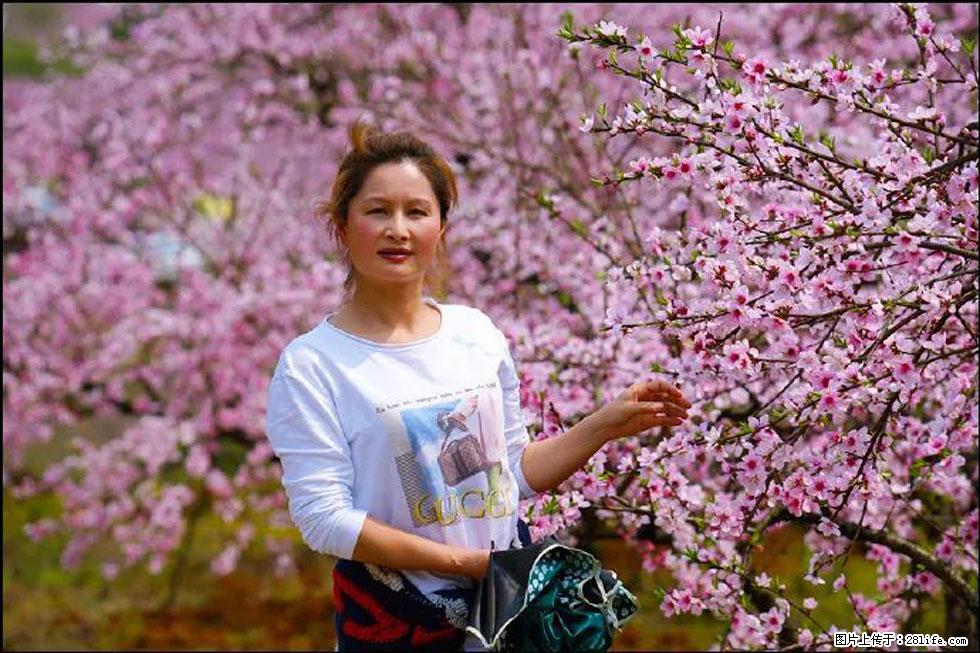 【春天，广西桂林灌阳县向您发出邀请！】官庄村有个醉美的桃花园 - 游山玩水 - 桂林生活社区 - 桂林28生活网 www.28life.net