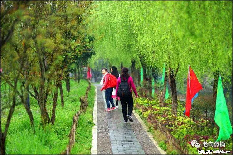 【春天，广西桂林灌阳县向您发出邀请！】江口老街又逢春 - 游山玩水 - 桂林生活社区 - 桂林28生活网 www.28life.net
