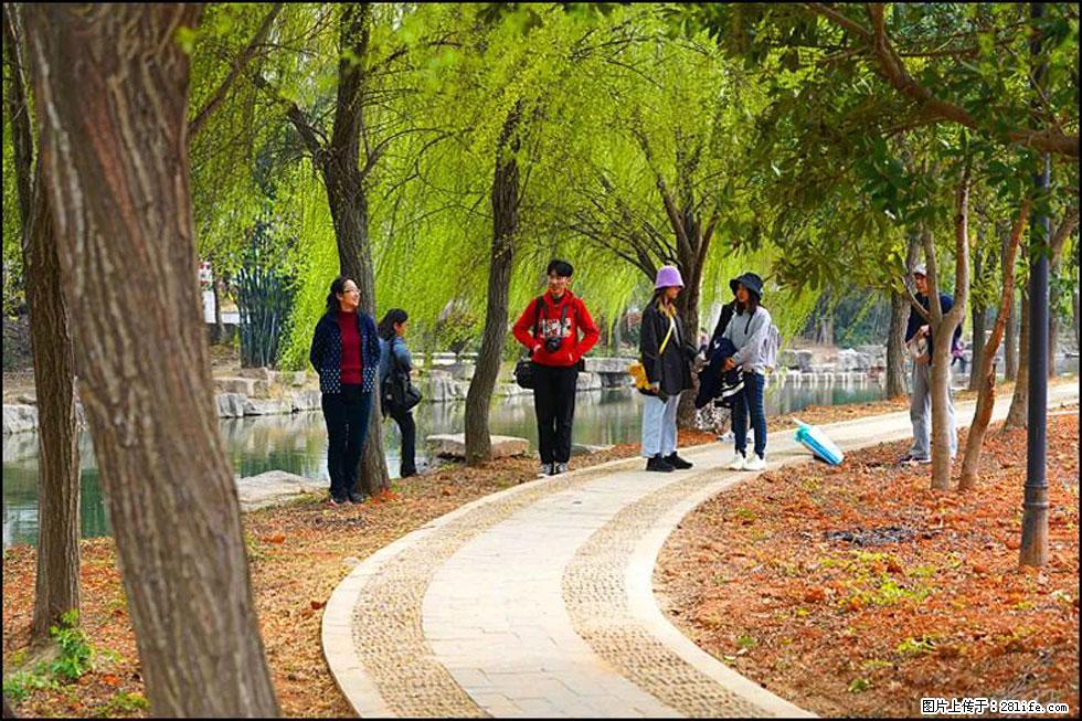 【春天，广西桂林灌阳县向您发出邀请！】江口老街又逢春 - 游山玩水 - 桂林生活社区 - 桂林28生活网 www.28life.net