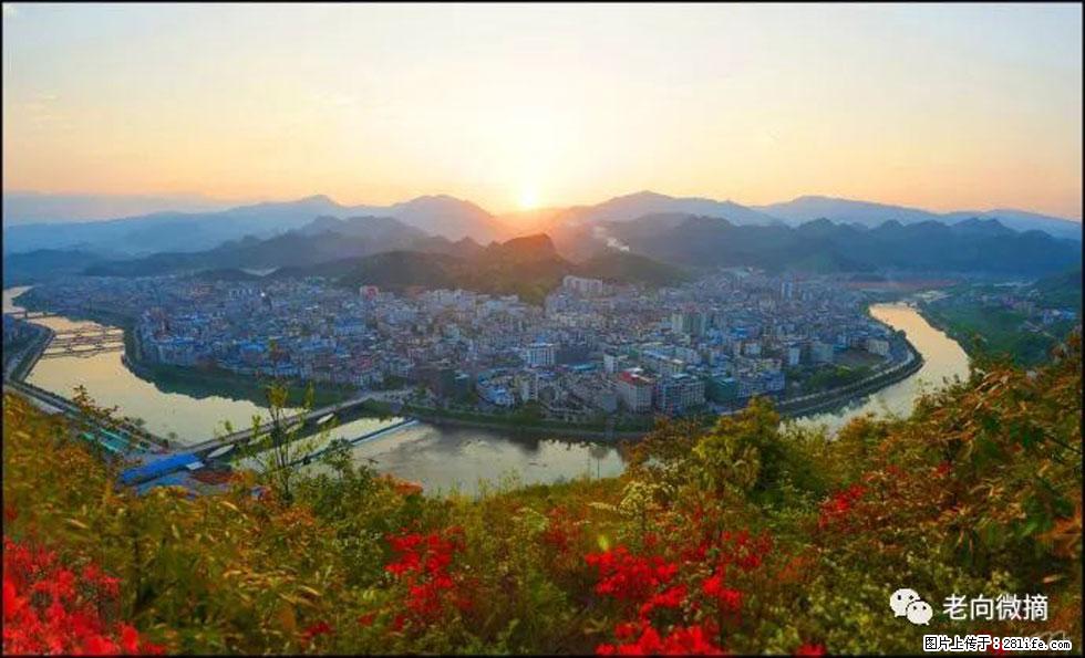 【春天，广西桂林灌阳县向您发出邀请！】登麒麟山，相约映山红 - 游山玩水 - 桂林生活社区 - 桂林28生活网 www.28life.net