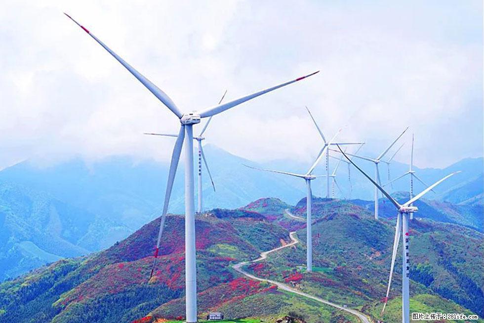 【春天，广西桂林灌阳县向您发出邀请！】春木界上映山红 - 游山玩水 - 桂林生活社区 - 桂林28生活网 www.28life.net