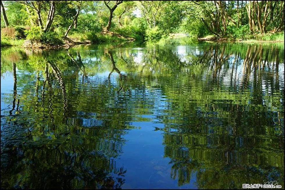 【春天，广西桂林灌阳县向您发出邀请！】熊家寨湿地公园 - 游山玩水 - 桂林生活社区 - 桂林28生活网 www.28life.net