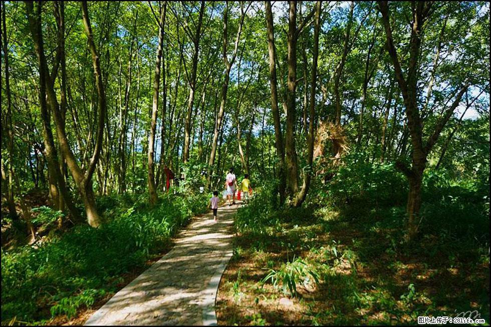 【春天，广西桂林灌阳县向您发出邀请！】熊家寨湿地公园 - 游山玩水 - 桂林生活社区 - 桂林28生活网 www.28life.net