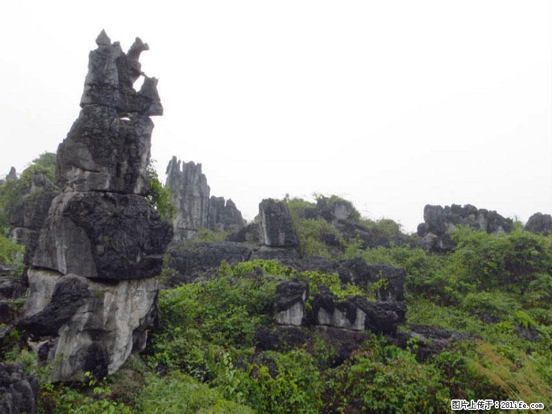 桂林旅游名城景点：灌阳文市石林 - 游山玩水 - 桂林生活社区 - 桂林28生活网 www.28life.net