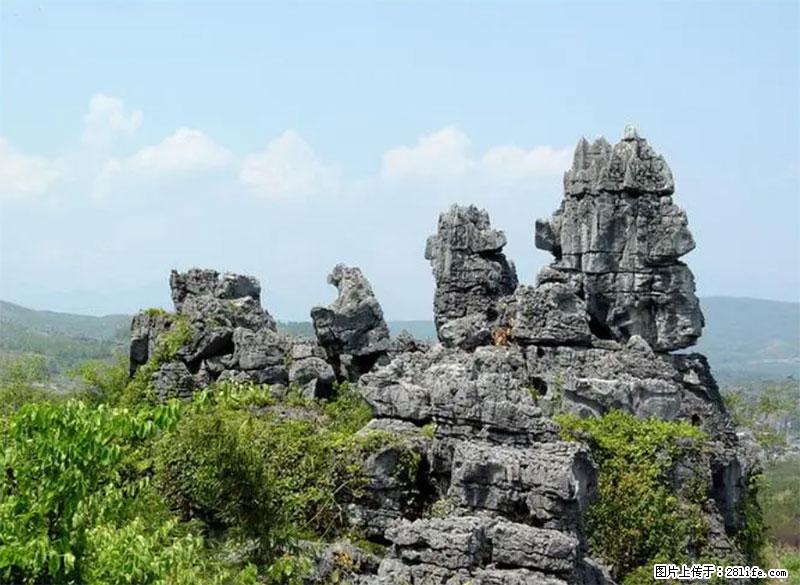 桂林旅游名城景点：灌阳文市石林 - 游山玩水 - 桂林生活社区 - 桂林28生活网 www.28life.net