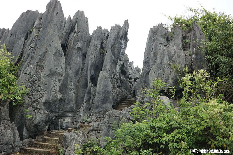 桂林旅游名城景点：灌阳文市石林 - 游山玩水 - 桂林生活社区 - 桂林28生活网 www.28life.net