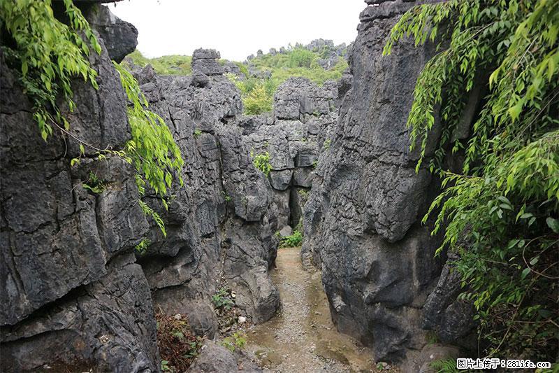 桂林旅游名城景点：灌阳文市石林 - 游山玩水 - 桂林生活社区 - 桂林28生活网 www.28life.net