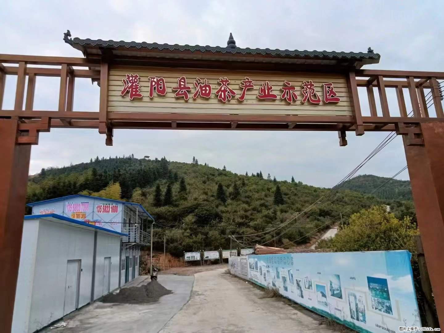 【灌阳县油茶产业示范区】一个有着充实的精神生活的人，对待身外之物自会有一种淡泊的态度 - 土特产 - 饮食特产 - 桂林分类信息 - 桂林28生活网 www.28life.net