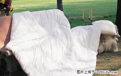 被子有异味？只要这样做，比晒太阳还强100倍！ - 家居生活 - 桂林生活社区 - 桂林28生活网 www.28life.net