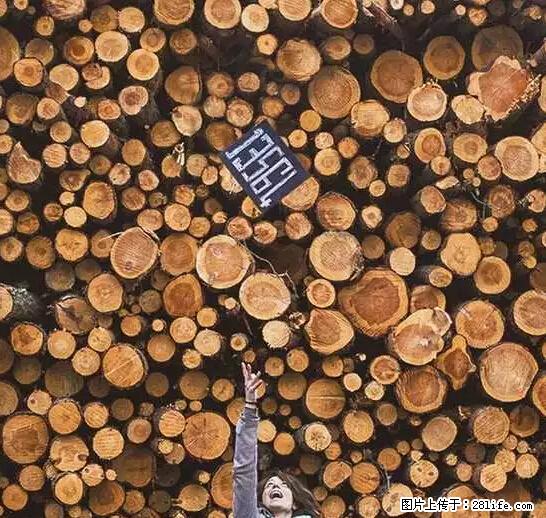 辞掉工作周游世界？现在他们在洗厕所…… - 游山玩水 - 桂林生活社区 - 桂林28生活网 www.28life.net
