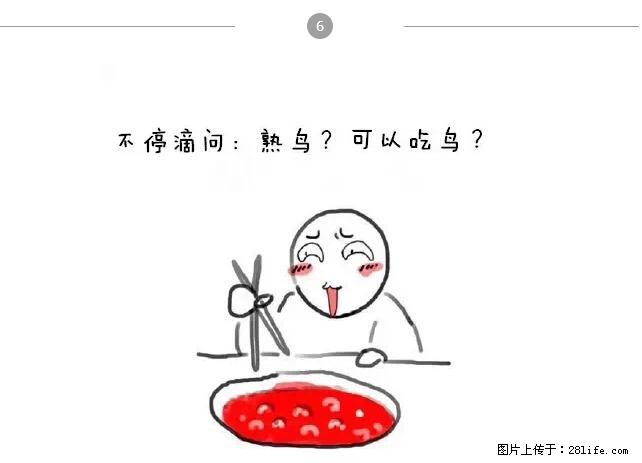 在桂林，千万不要和这9种哈卵一起吃火锅！ - 美食天地 - 桂林生活社区 - 桂林28生活网 www.28life.net
