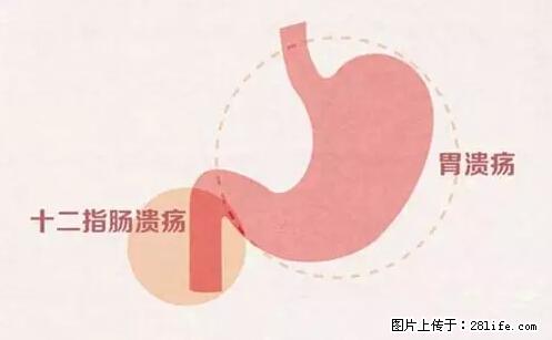 男孩12岁就切掉半个胃!碗筷不能这么用,东西不能这么吃… - 美食天地 - 桂林生活社区 - 桂林28生活网 www.28life.net