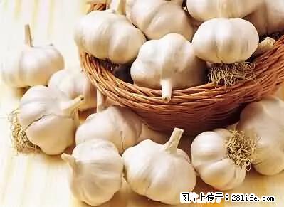 感冒咳嗽只需一粒蒜，可惜知道的人太少了。 - 生活百科 - 桂林生活社区 - 桂林28生活网 www.28life.net