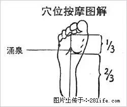 感冒咳嗽只需一粒蒜，可惜知道的人太少了。 - 生活百科 - 桂林生活社区 - 桂林28生活网 www.28life.net