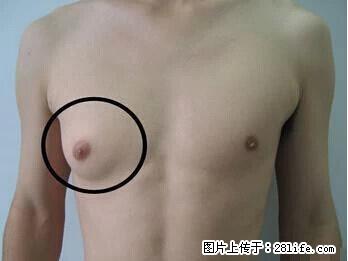 原来海带不能乱吃…现在知道还不晚哦！ - 生活百科 - 桂林生活社区 - 桂林28生活网 www.28life.net
