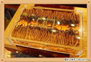 桂林上门回收礼盒冬虫夏草、礼盒海参、礼盒东阿阿胶 - 桂林28生活网 www.28life.net