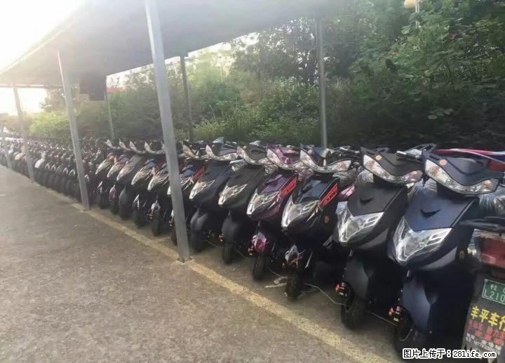新车0元购,不花一分钱就可以把车开回家,新车好而不贵,GPS免费送 - 电动车 - 摩电单车 - 桂林分类信息 - 桂林28生活网 www.28life.net