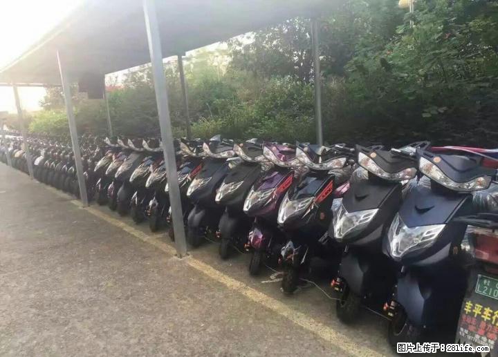 新车0元购,不花一分钱就可以把车开回家,新车好而不贵,GPS免费送 - 电动车 - 摩电单车 - 桂林分类信息 - 桂林28生活网 www.28life.net