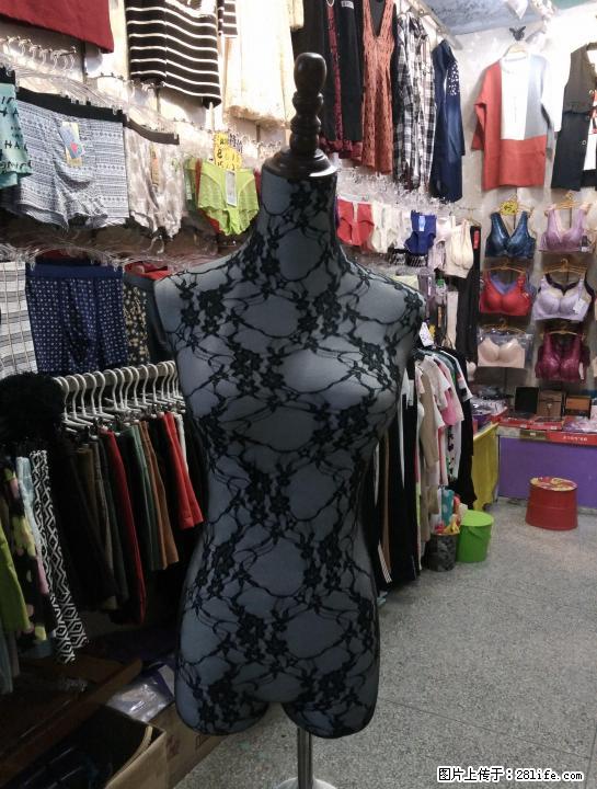女装实木架模特蕾丝打底 - 其它 - 服装服饰 - 桂林分类信息 - 桂林28生活网 www.28life.net