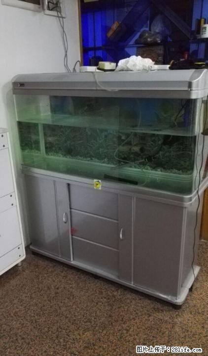 漂亮的大鱼缸一个，低价转让，接刀 - 宠物食品 - 宠物信息 - 桂林分类信息 - 桂林28生活网 www.28life.net