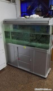 漂亮的大鱼缸一个，低价转让，接刀 - 桂林28生活网 www.28life.net