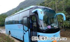 出租19~49坐旅游大巴 - 其它 - 汽车频道 - 桂林分类信息 - 桂林28生活网 www.28life.net