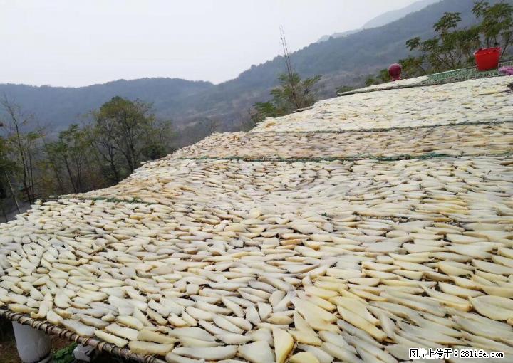 全州白宝高山富硒精品红薯干---还是小时候的味道，老品种老做法 - 礼品刀具 - 特色礼品 - 桂林分类信息 - 桂林28生活网 www.28life.net
