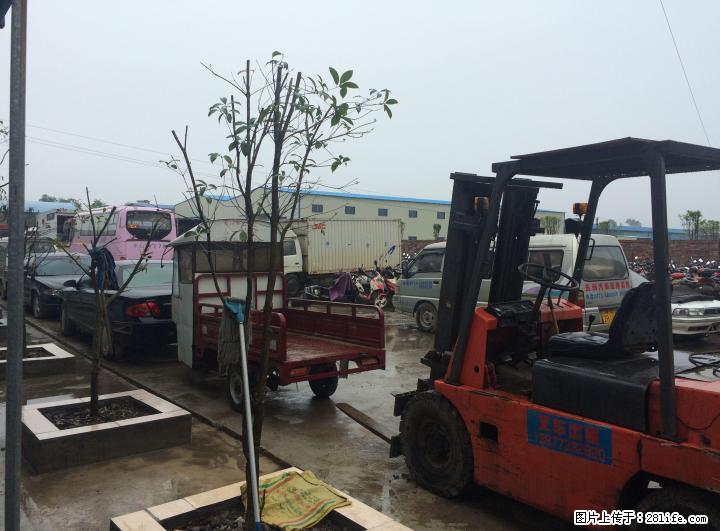 回收报废车，办理车管所注销手续07735598968 - 其它 - 汽车频道 - 桂林分类信息 - 桂林28生活网 www.28life.net