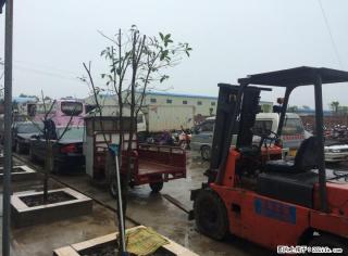 回收报废车，办理车管所注销手续07735598968 - 桂林28生活网 www.28life.net