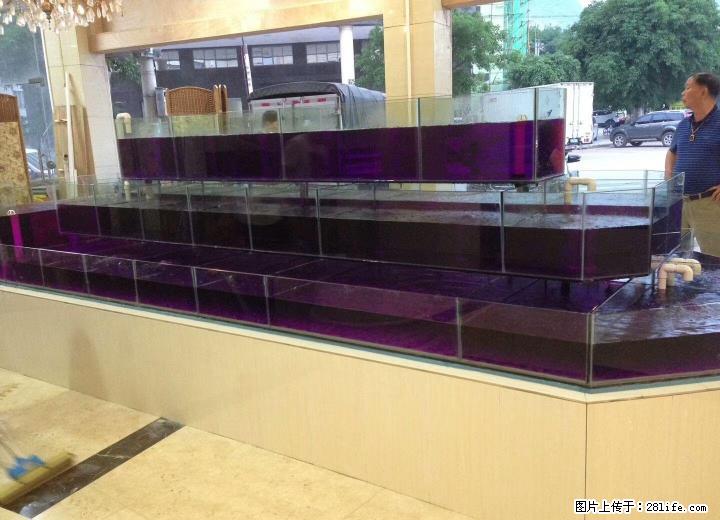 专业鱼缸鱼池海鲜池建造 - 宠物食品 - 宠物信息 - 桂林分类信息 - 桂林28生活网 www.28life.net