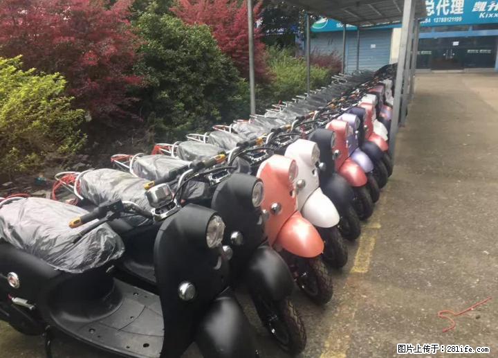 全场油车电动车都可0首付，不用一分钱，爱车开回家 - 摩托车 - 摩电单车 - 桂林分类信息 - 桂林28生活网 www.28life.net