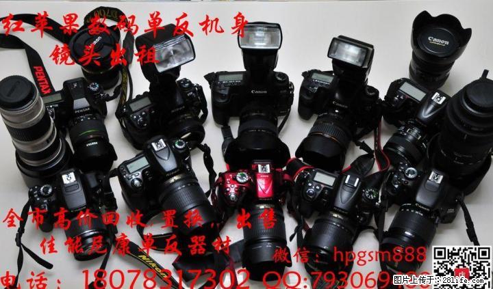 全市高价回收佳能,尼康单反器材及出租 - 数码相机 - 数码产品 - 桂林分类信息 - 桂林28生活网 www.28life.net