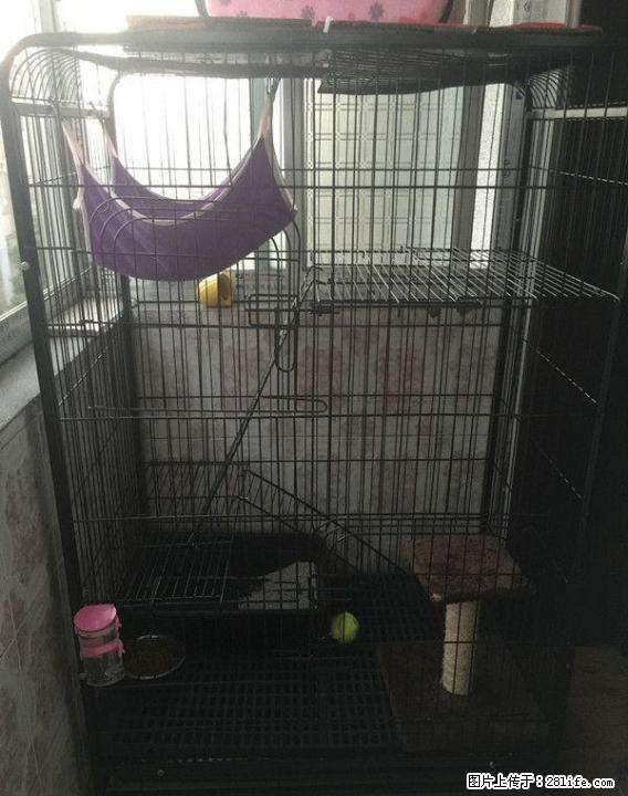 95新三层猫笼子便宜出售 - 宠物食品 - 宠物信息 - 桂林分类信息 - 桂林28生活网 www.28life.net
