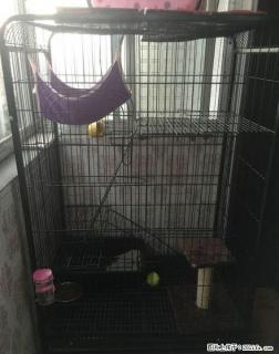 95新三层猫笼子便宜出售 - 桂林28生活网 www.28life.net