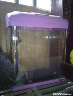 闲置鱼缸处理100块1个 - 桂林28生活网 www.28life.net