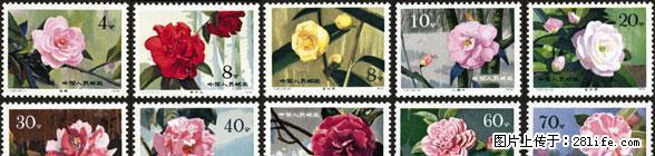 T.37 “云南山茶花”套票 - 其它 - 古玩收藏 - 桂林分类信息 - 桂林28生活网 www.28life.net