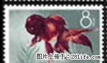 特38“金鱼”信销票第九枚（全品像） - 其它 - 古玩收藏 - 桂林分类信息 - 桂林28生活网 www.28life.net