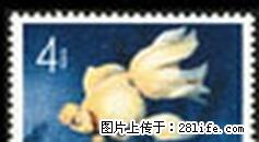特.38“金鱼”邮票第一枚（信销全品像） - 其它 - 古玩收藏 - 桂林分类信息 - 桂林28生活网 www.28life.net