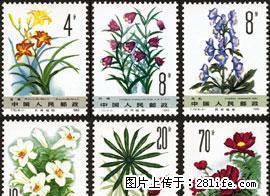 T.72“药用植物”第二组 套票 - 其它 - 古玩收藏 - 桂林分类信息 - 桂林28生活网 www.28life.net
