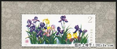 T.72M “药用植物”第二组小型张 - 其它 - 古玩收藏 - 桂林分类信息 - 桂林28生活网 www.28life.net