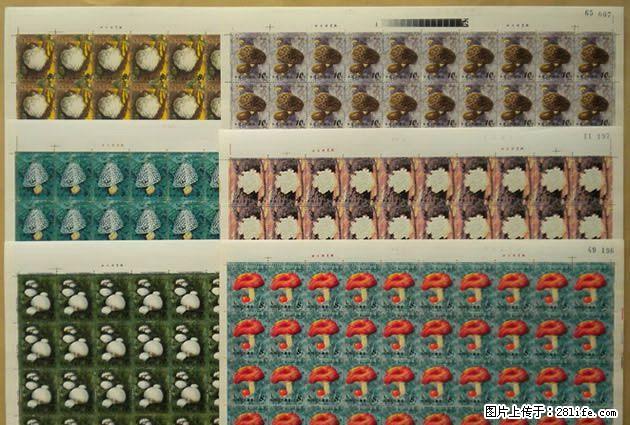 T.66”食用菌”版票 - 其它 - 古玩收藏 - 桂林分类信息 - 桂林28生活网 www.28life.net