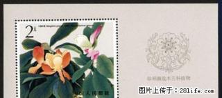 T.111M “珍稀濒危木兰科植物”小型张 - 桂林28生活网 www.28life.net