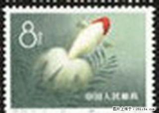 特.38“金鱼”第十枚信销散票（全品像） - 桂林28生活网 www.28life.net