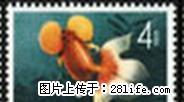 特.38“金鱼”信销邮票第三枚 - 桂林28生活网 www.28life.net