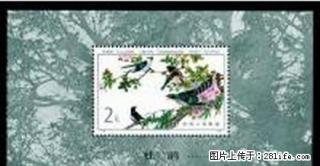 T.79M “益鸟”小型张 - 桂林28生活网 www.28life.net