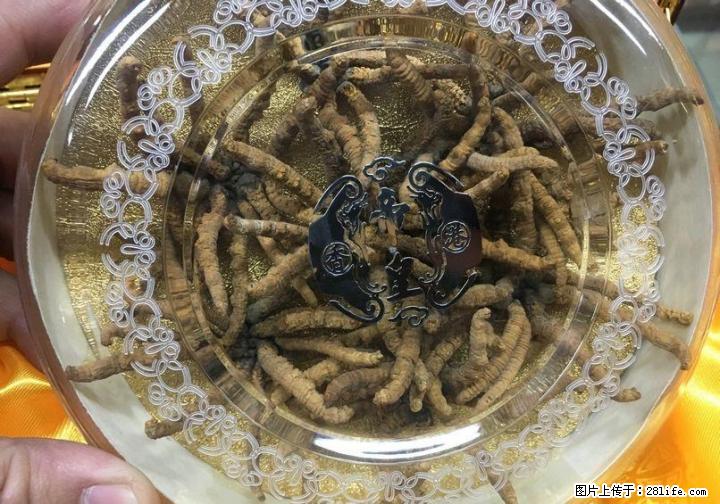 桂林地区现金高价回收礼品、白酒老酒洋酒、片仔癀颗粒,冬虫夏草等礼品~！ - 礼品刀具 - 特色礼品 - 桂林分类信息 - 桂林28生活网 www.28life.net