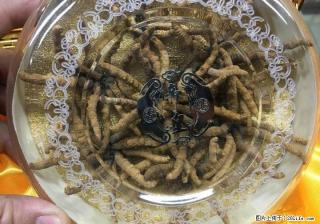 桂林地区现金高价回收礼品、白酒老酒洋酒、片仔癀颗粒,冬虫夏草等礼品~！ - 桂林28生活网 www.28life.net