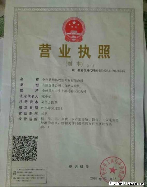 （转让）全州县养牛场 - 牲畜 - 农林牧渔 - 桂林分类信息 - 桂林28生活网 www.28life.net
