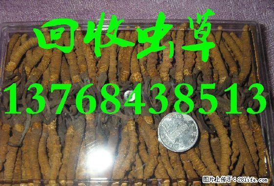桂林市恭城县回收烟酒、龙胜县烟酒回收、阳朔县回收烟酒礼品 - 礼品刀具 - 特色礼品 - 桂林分类信息 - 桂林28生活网 www.28life.net