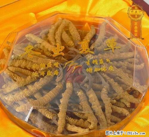 柳州市虫草回收，冬虫夏草回收，柳州收购冬虫夏草，收购虫草 - 礼品刀具 - 特色礼品 - 桂林分类信息 - 桂林28生活网 www.28life.net